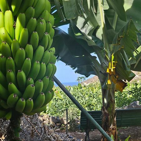 埃尔米瓜Casa Erika别墅 外观 照片